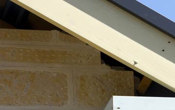 soffit repair Assington Green