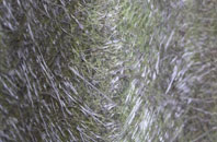 Assington Green fibreglass roof work